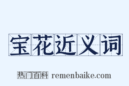 宝花近义词是什么意思的图片